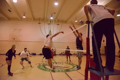 DSC_1779 (Large).JPG